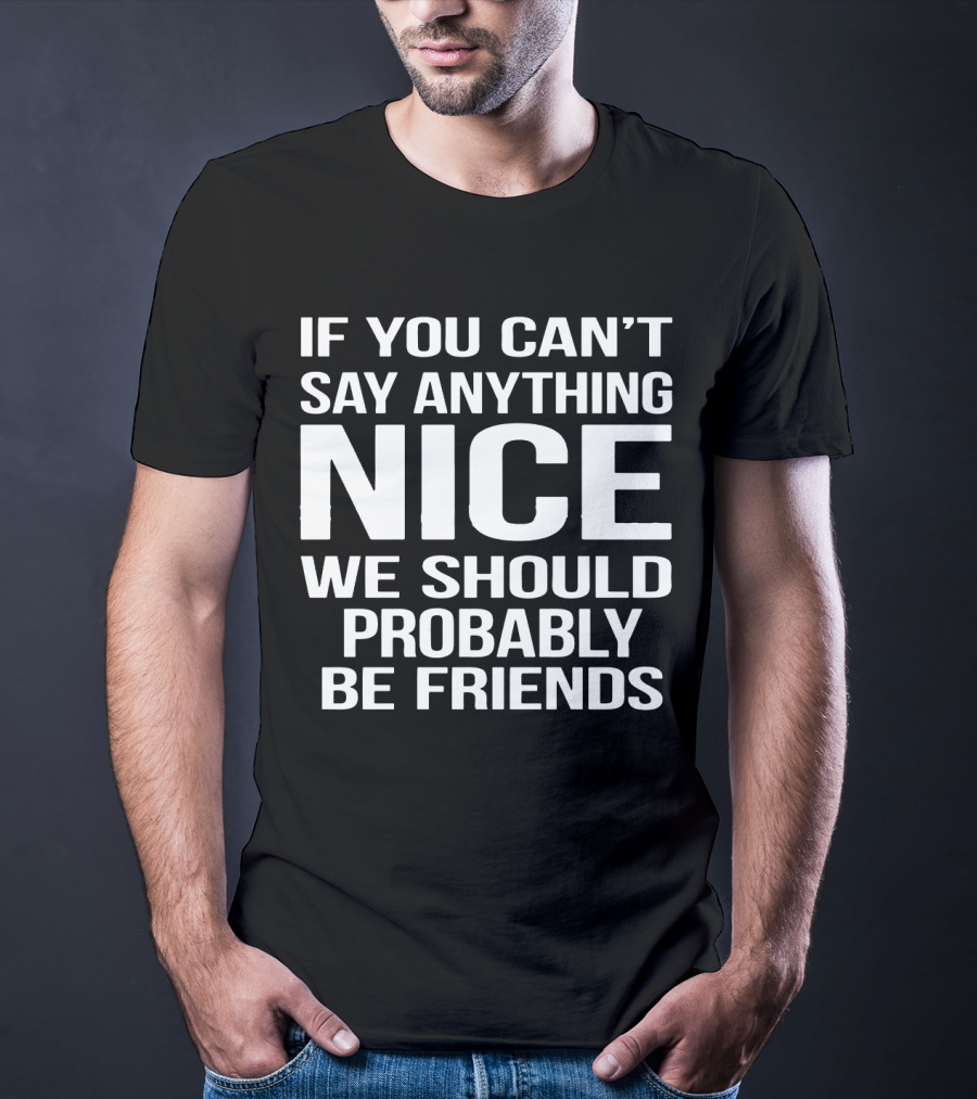 If You Can't Say Anything Nice We Should Probably Be Friends T-Shirt
