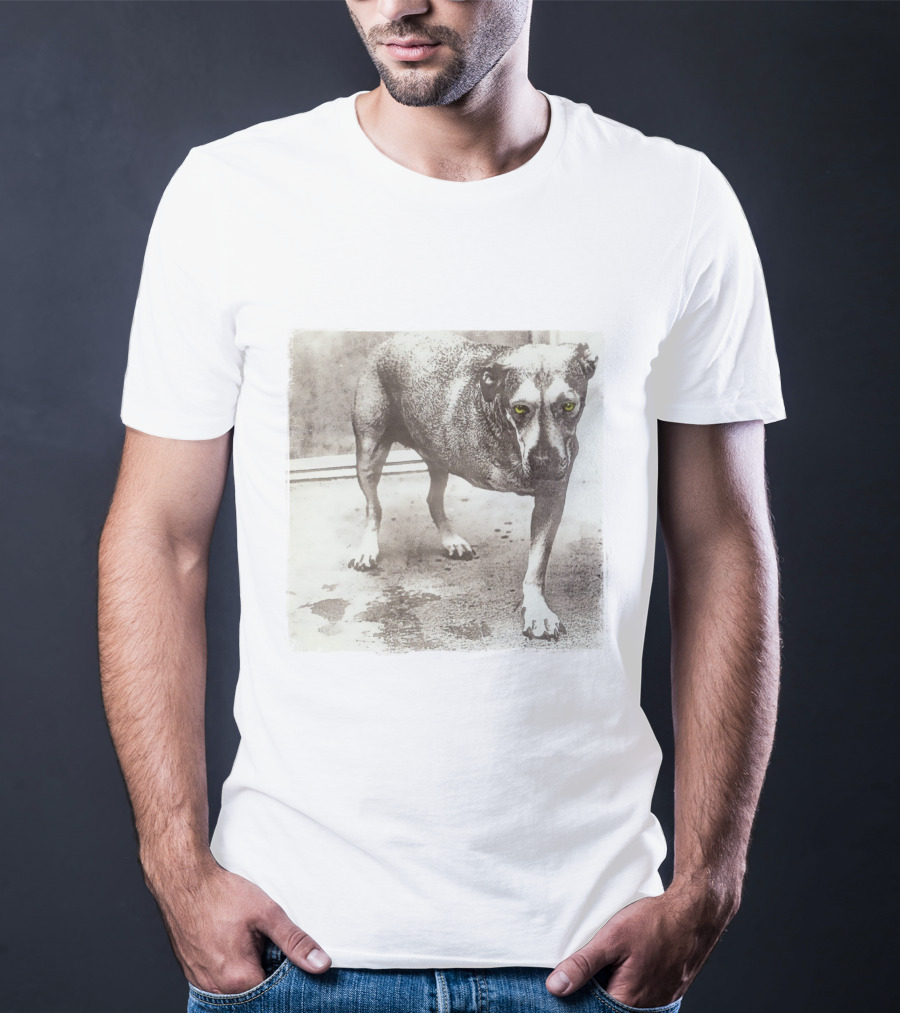 Dog With Yellow Eyes Aic T-Shirt
