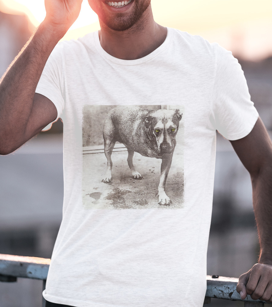 Dog With Yellow Eyes Aic T-Shirt