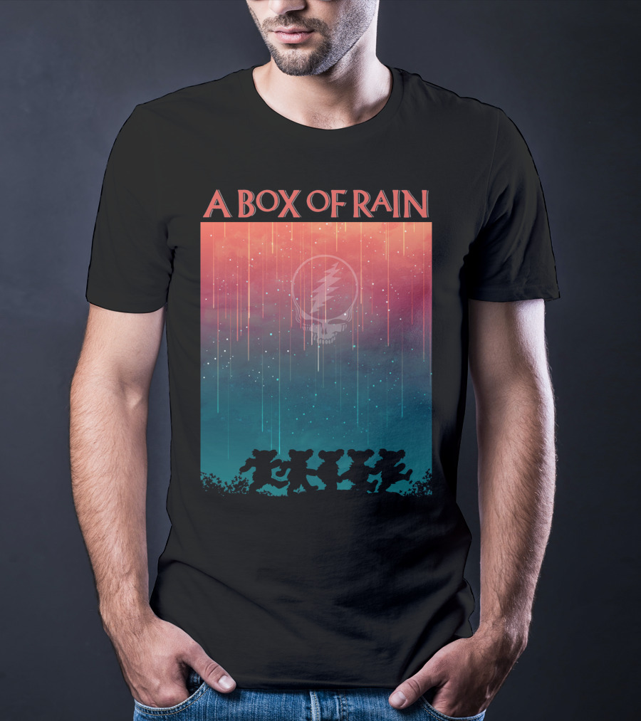 A Box Of Rain Grateful Dead Dancing Bears Steal Your Face T-Shirt