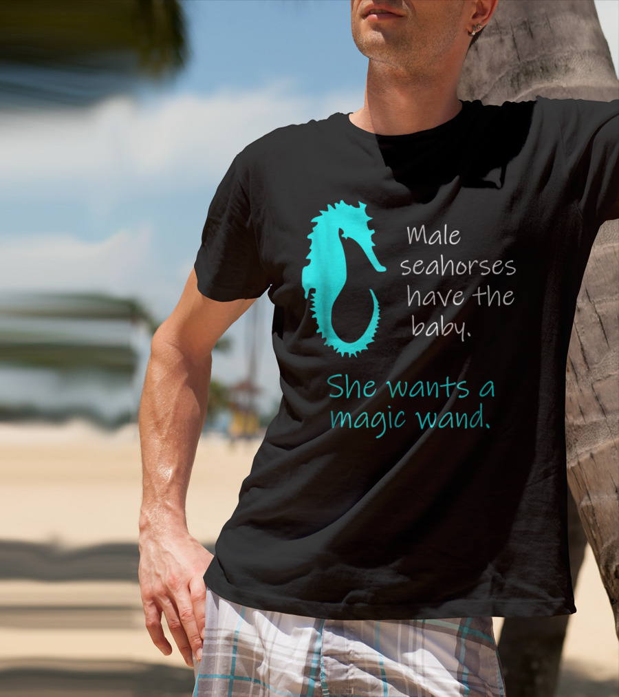 Male Seahorses Have The Baby She Wants A Magic Wand Dad To Be Maternity Tee96 T-Shirt