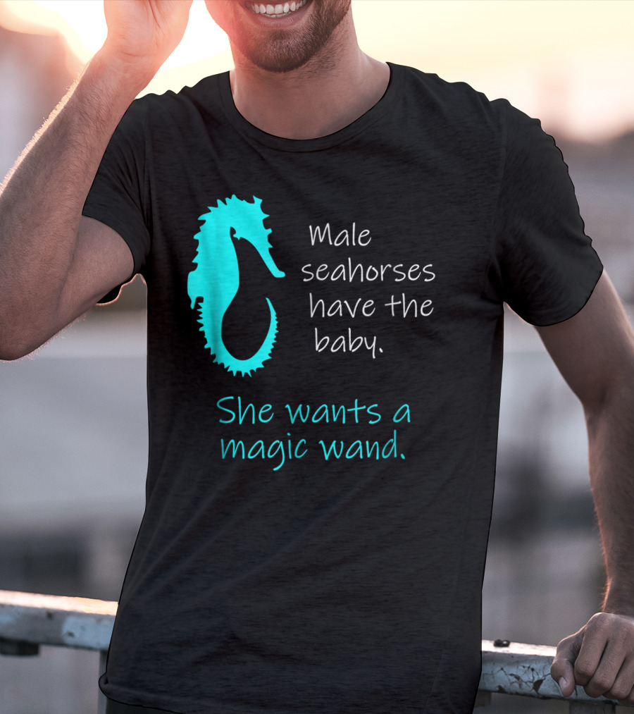Male Seahorses Have The Baby She Wants A Magic Wand Dad To Be Maternity Tee96 T-Shirt
