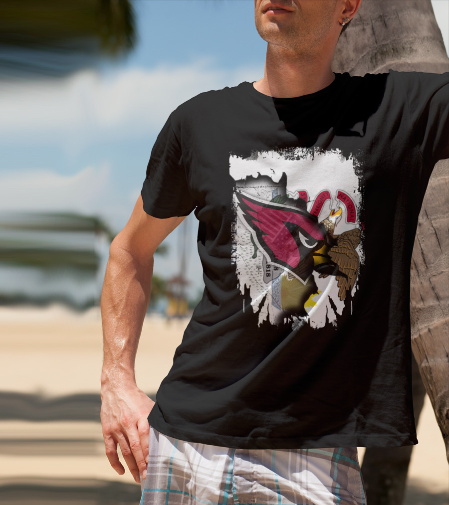 Illinois Pride With Fierce Cardinals Unity T-Shirt