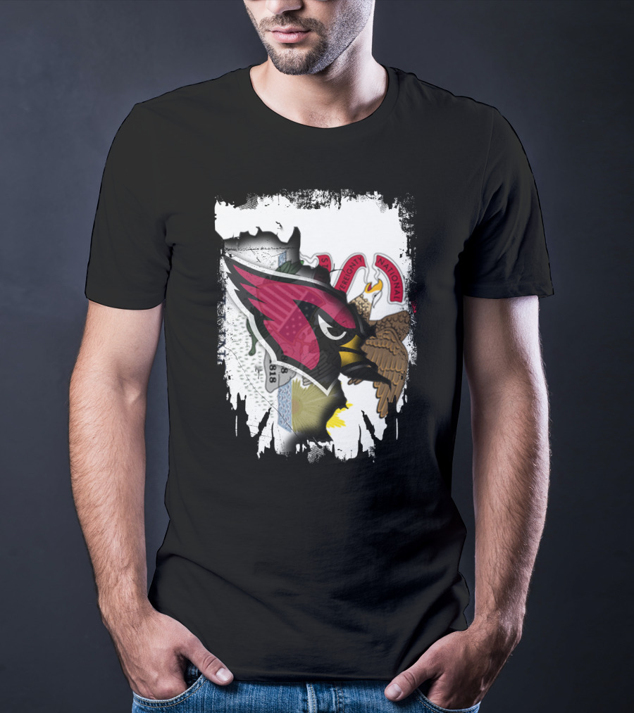 Illinois Pride With Fierce Cardinals Unity T-Shirt