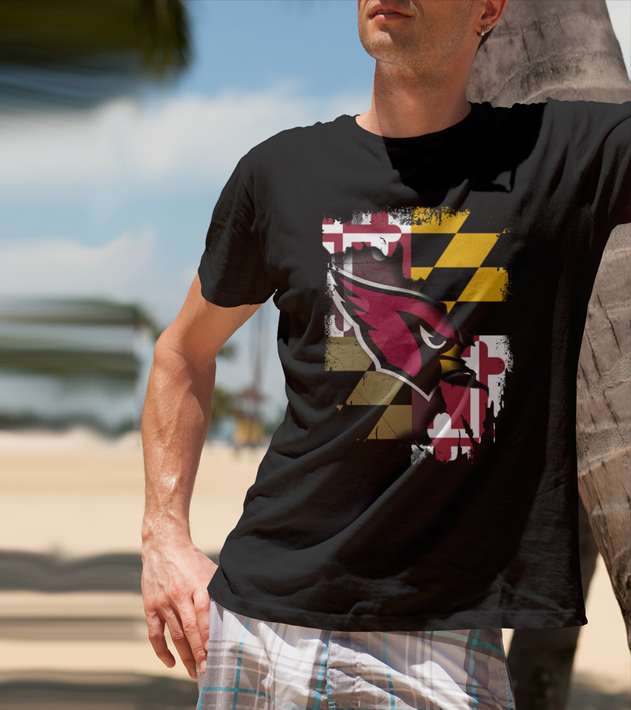 Together Maryland Cardinals With Maryland Flag Background T-Shirt