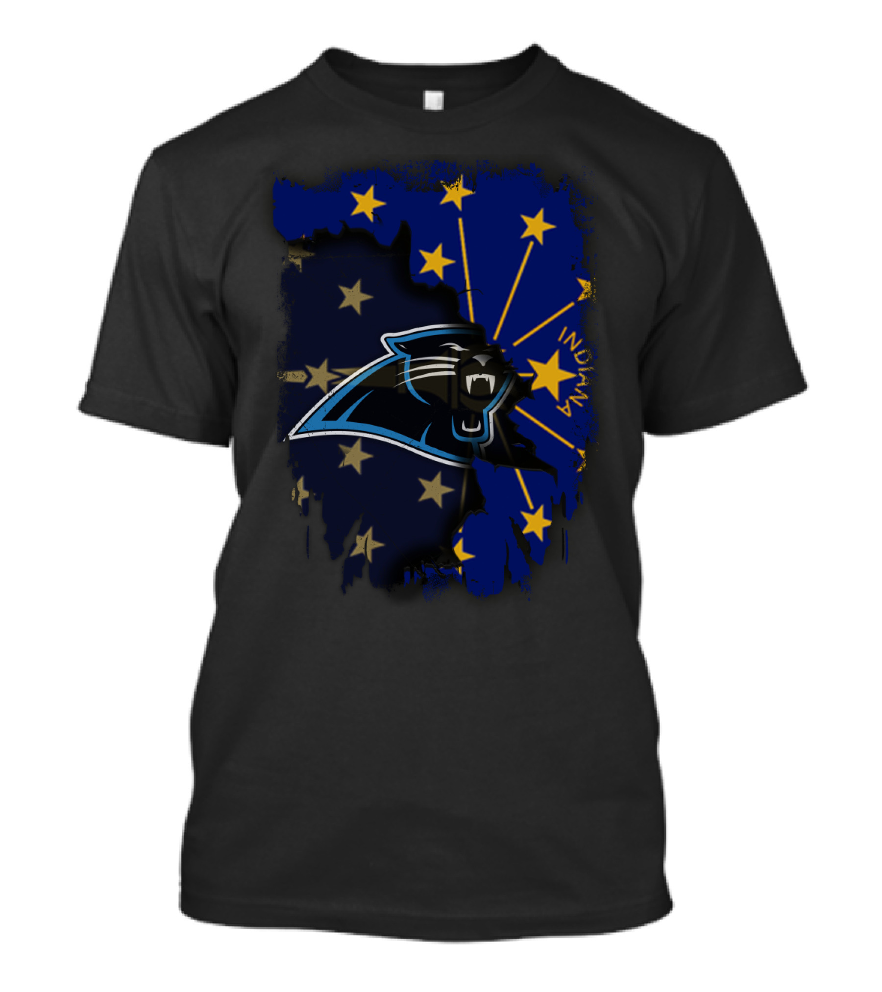 Indiana Panthers Together Flag T-Shirt