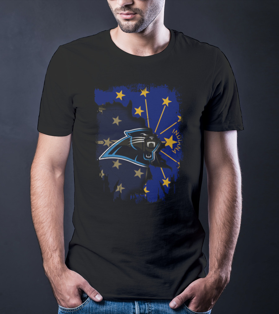 Indiana Panthers Together Flag T-Shirt