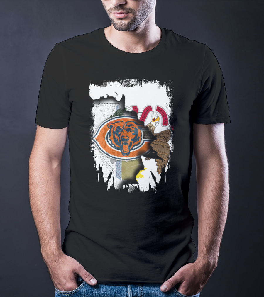 Illinois Pride With Chicago Bears And State Seal T-Shirt