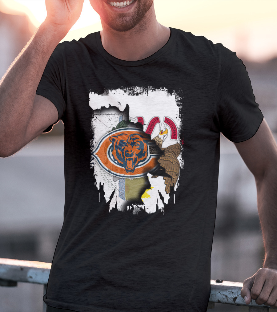 Illinois Pride With Chicago Bears And State Seal T-Shirt