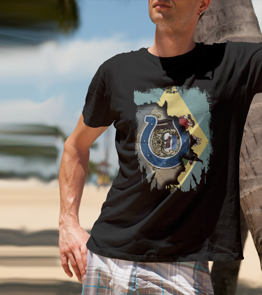 Together Delaware With Colts Horseshoe Flag Emblem T-Shirt