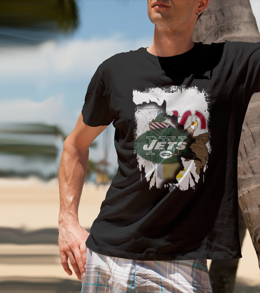 Illinois State Seal And Jets Logo Combination T-Shirt
