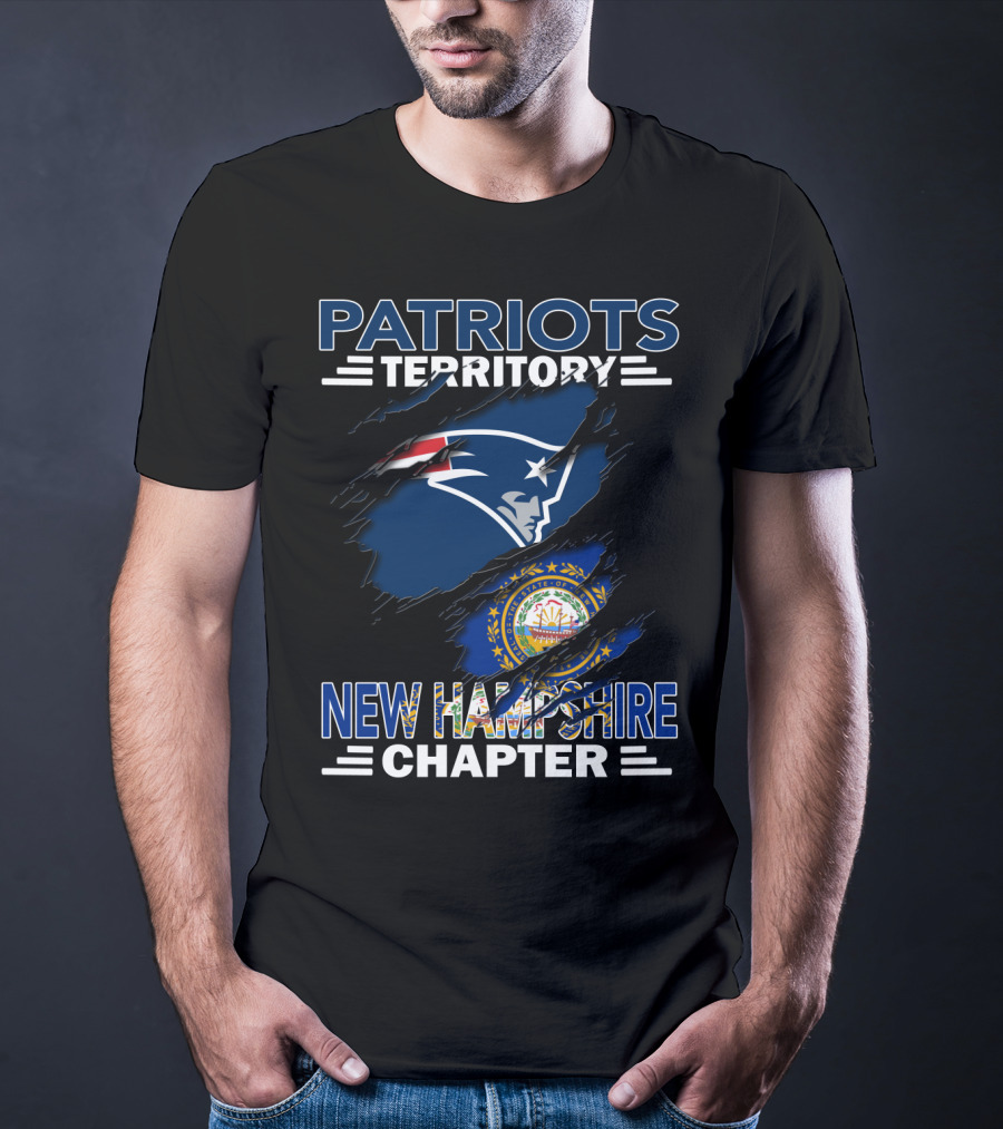 Patriots Territory New Hampshire Chapter Logo With New England Flag And State Seal T-Shirt