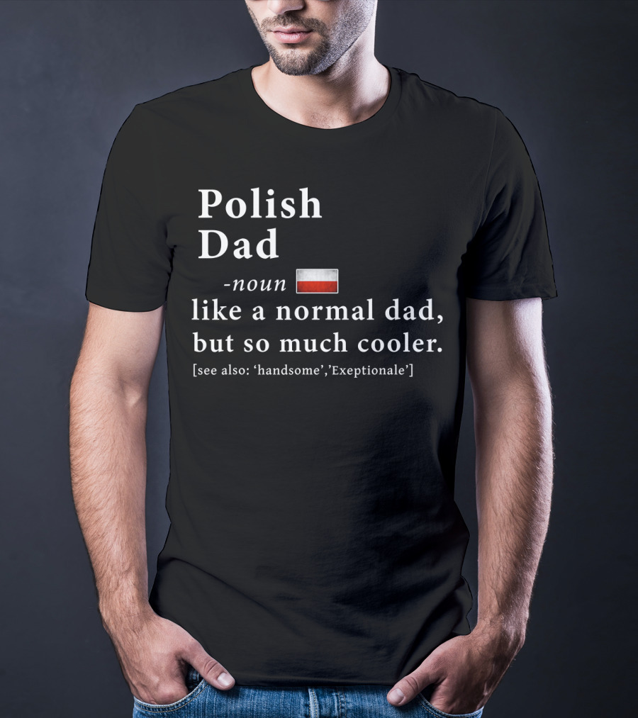 Polish Dad Noun Like A Normal Dad But So Much Cooler Handsome Exceptionale Polish Flag T-Shirt
