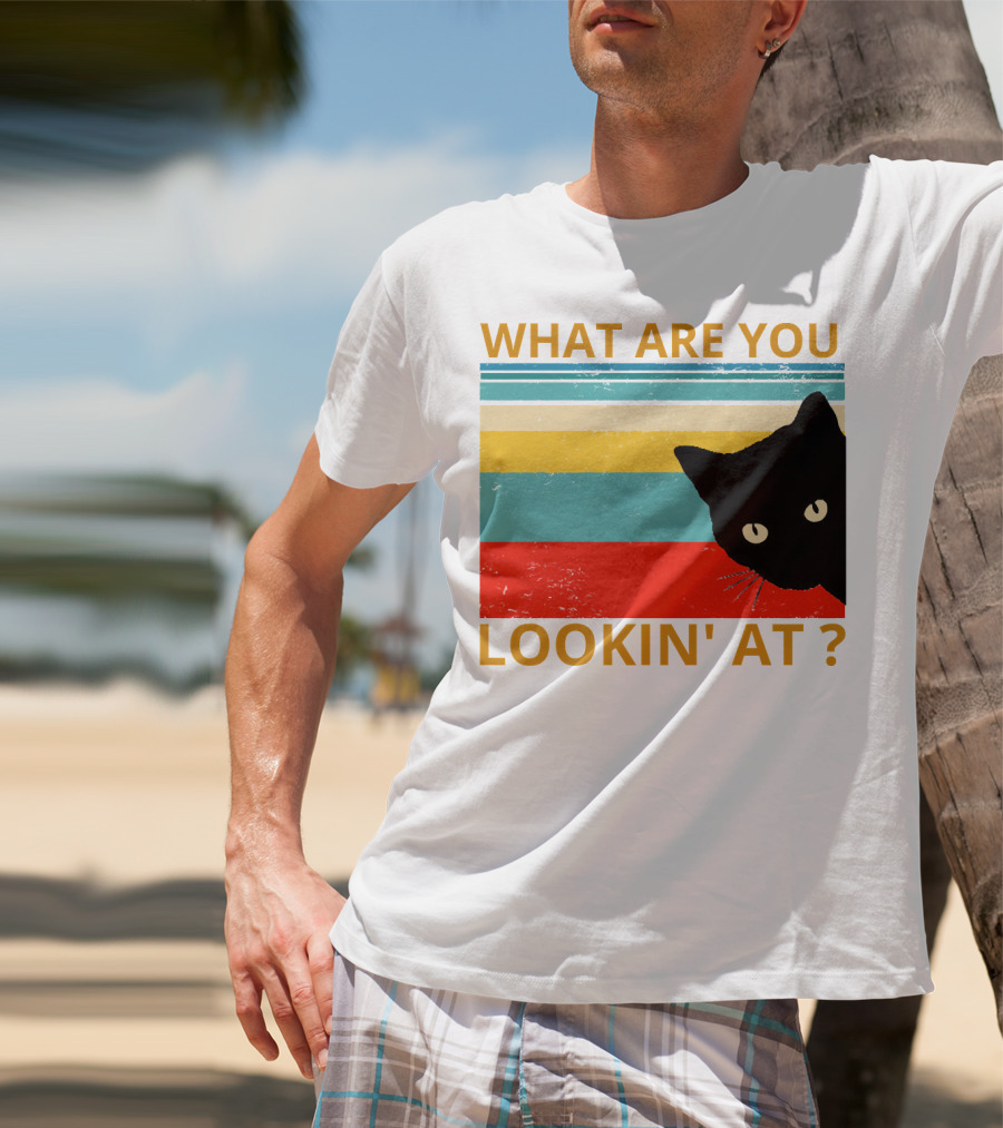 What Are You Lookin' At Black Cat Vintage Stripes T-Shirt