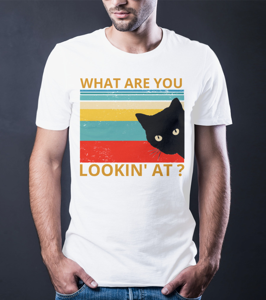 What Are You Lookin' At Black Cat Vintage Stripes T-Shirt