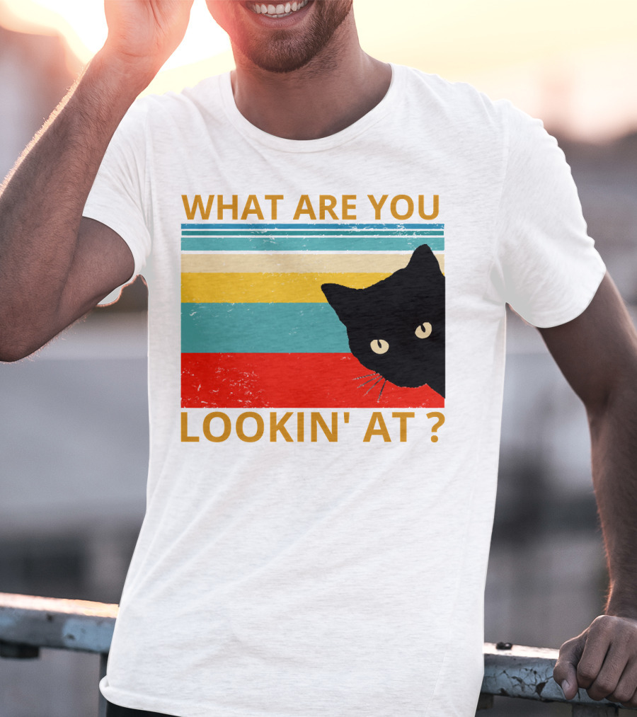 What Are You Lookin' At Black Cat Vintage Stripes T-Shirt