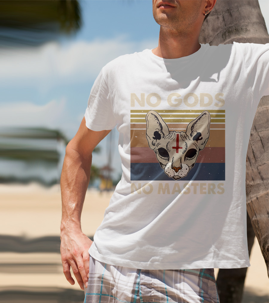 No Gods No Masters Sphynx Cat Retro T-Shirt