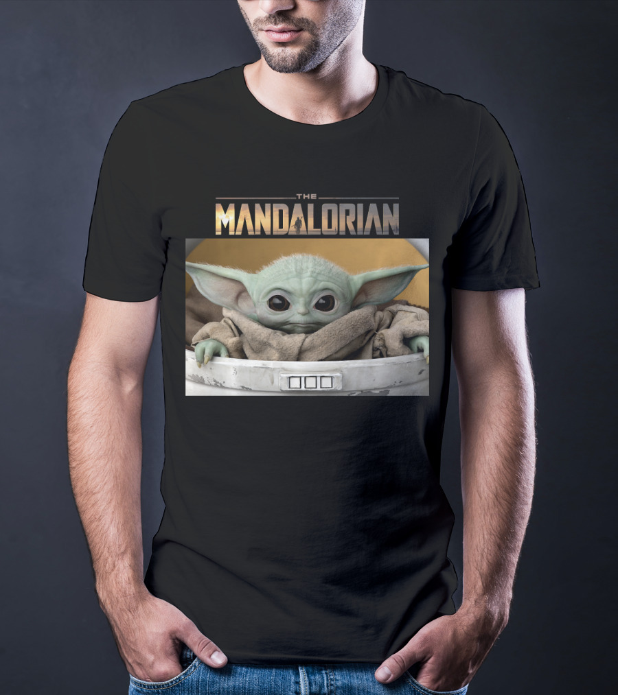 The Mandalorian The Child Baby Yoda In Pod T-Shirt