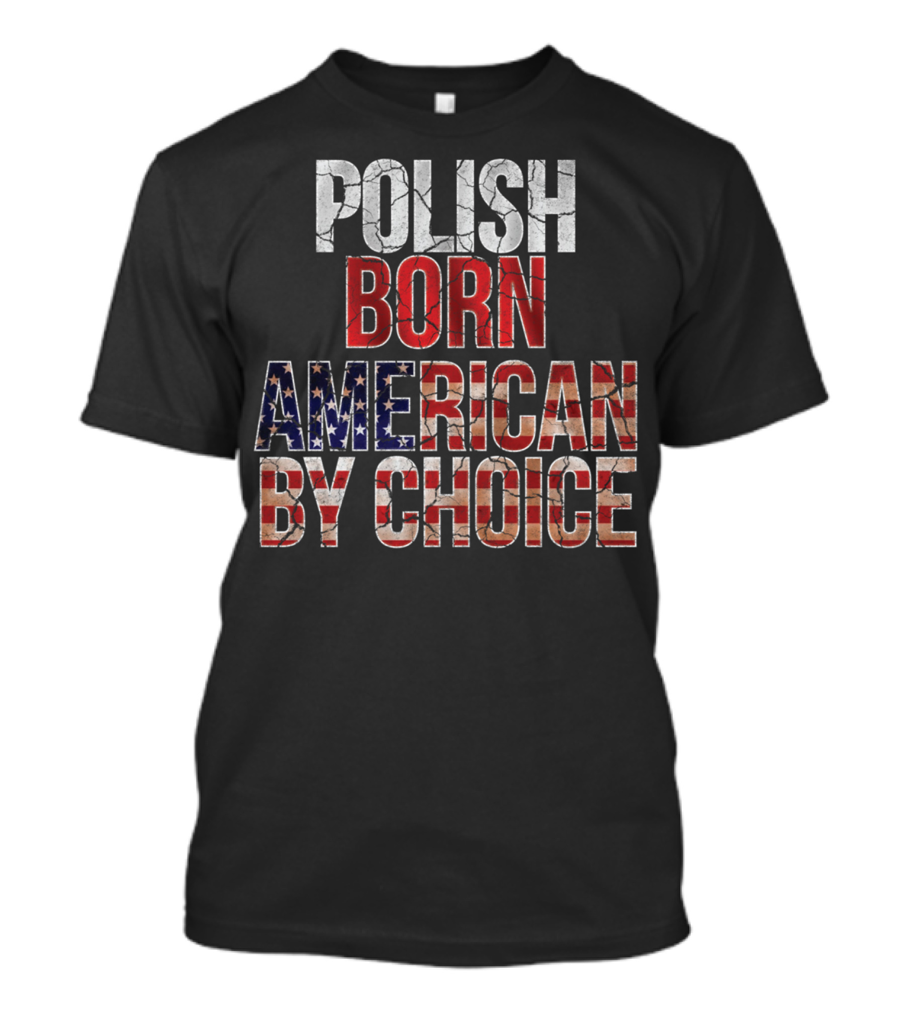 Polish Born American By Choice Flag Day USA Pride T-Shirt