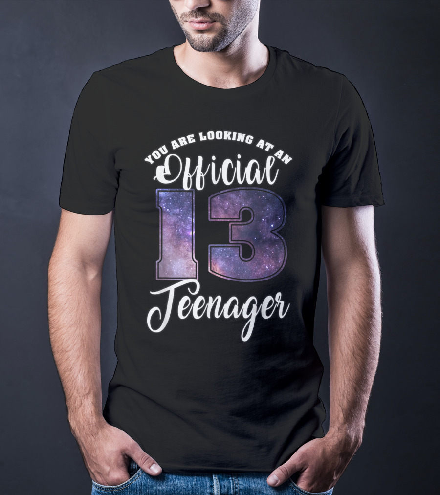 You Are Looking At An Official 13 Teenager T-Shirt