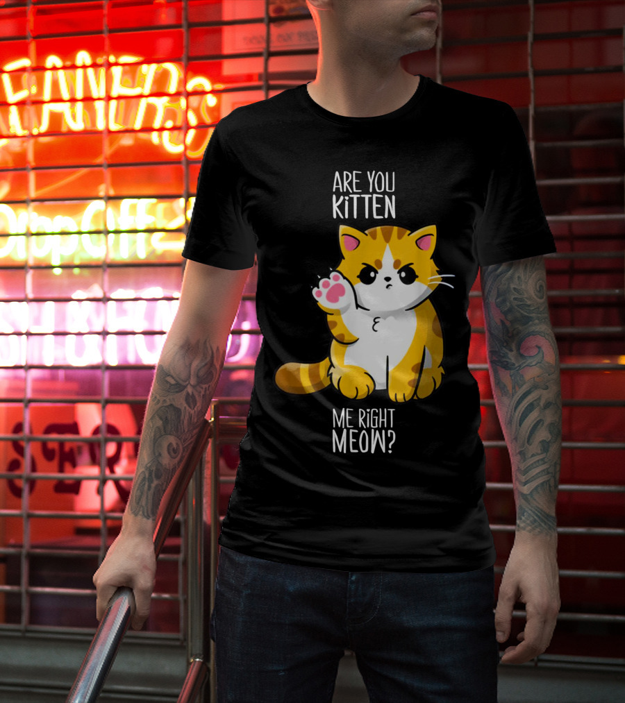 Are You Kitten Me Right Meow Cute Kitty T-Shirt