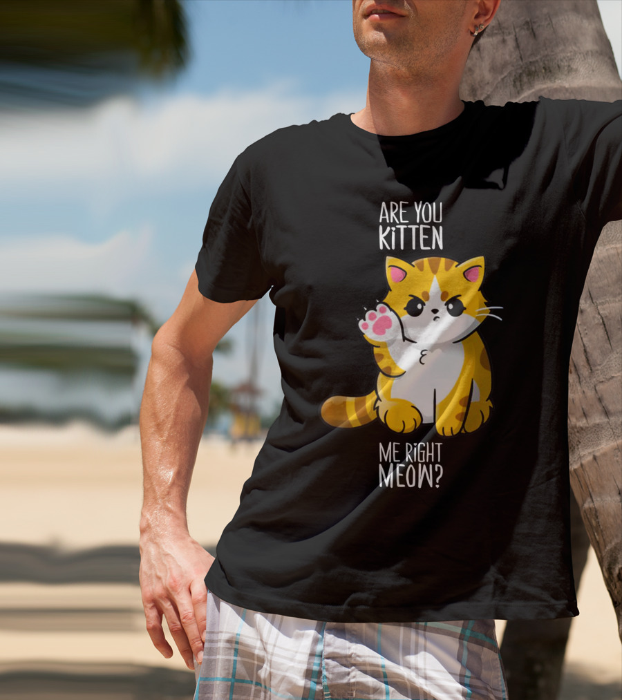 Are You Kitten Me Right Meow Cute Kitty T-Shirt