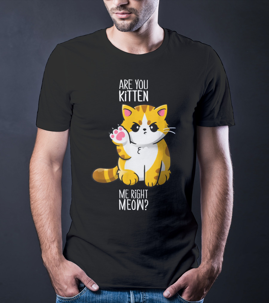 Are You Kitten Me Right Meow Cute Kitty T-Shirt