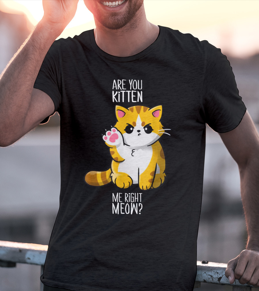Are You Kitten Me Right Meow Cute Kitty T-Shirt