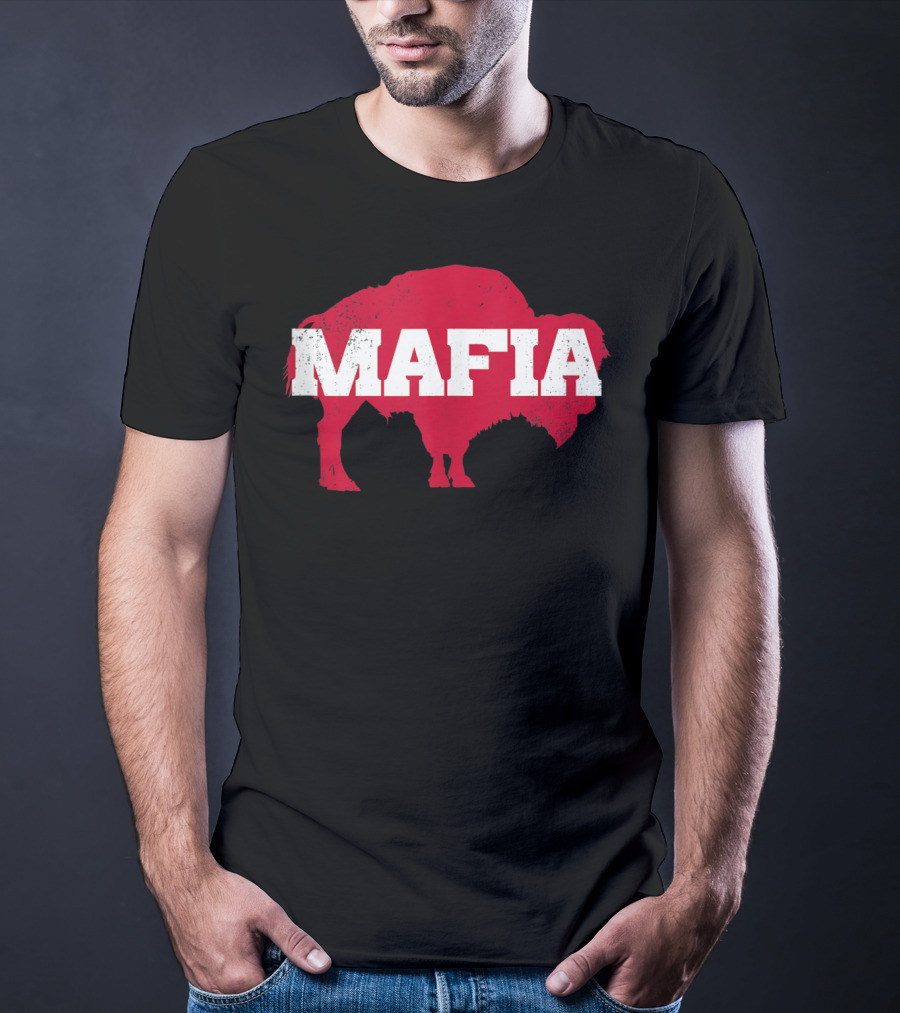 Bills Mafia Buffalo New York 716 Bflo Wny T-Shirt