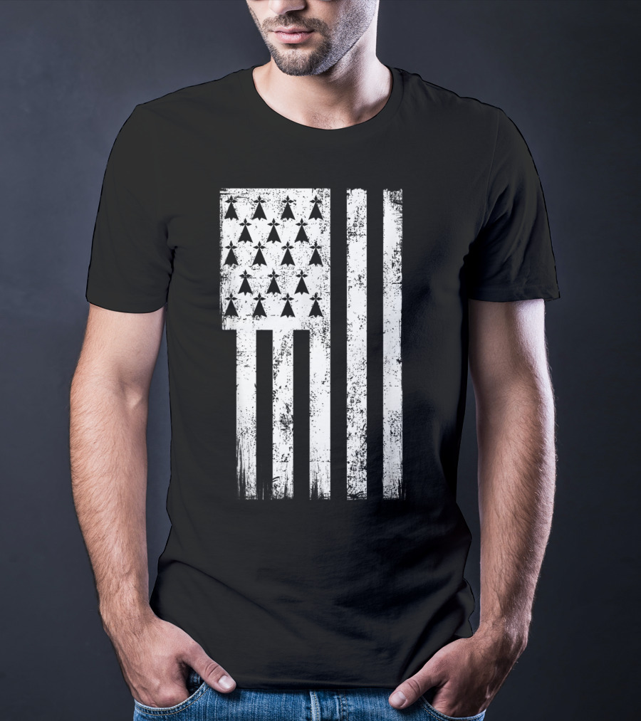 Bretagne Flag Distressed Bretagne Region Of France T-Shirt