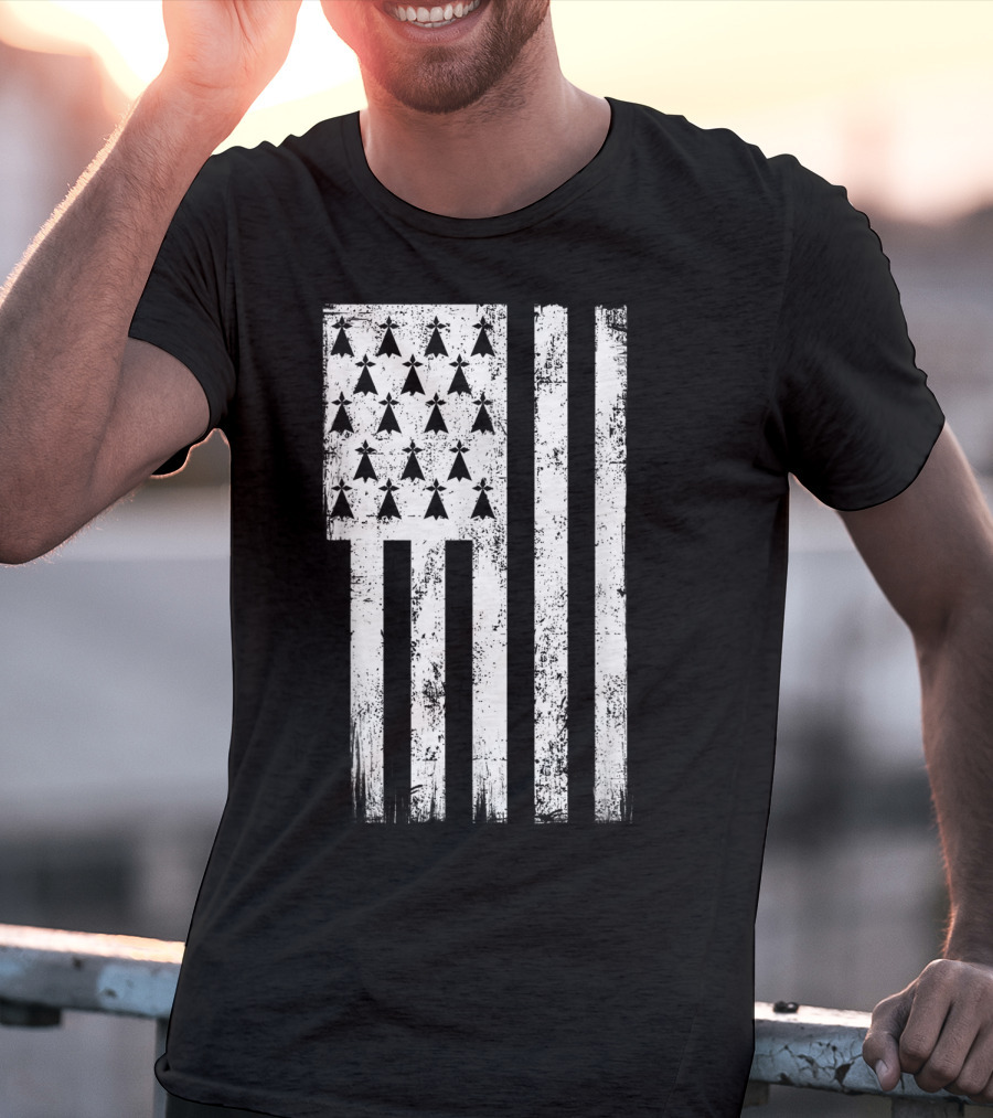 Bretagne Flag Distressed Bretagne Region Of France T-Shirt