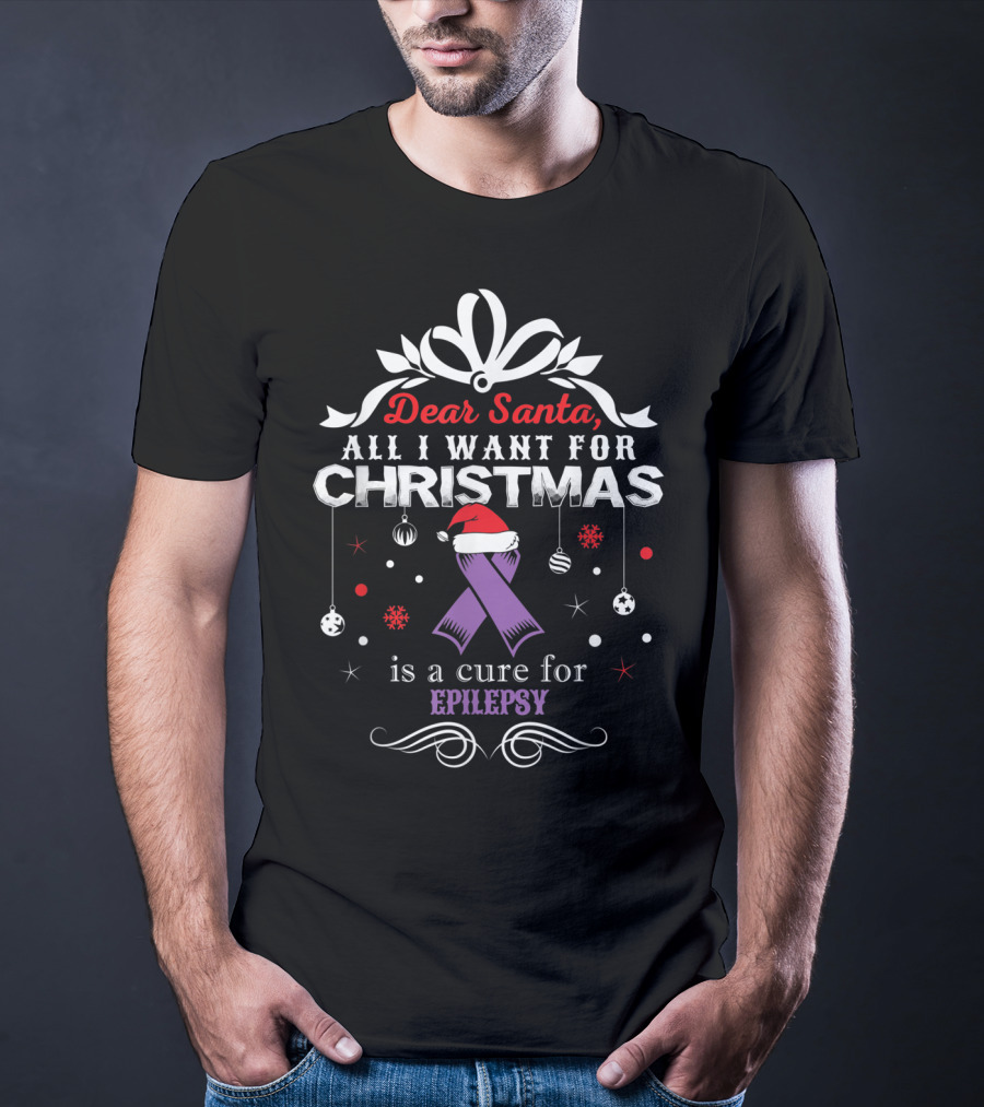 Dear Santa All I Want For Christmas Is A Cure For Epilepsy T-Shirt