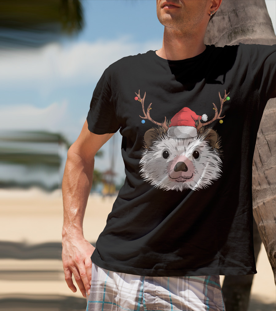 Hedgehog Santa Claus Hat Antlers Christmas Holiday T-Shirt