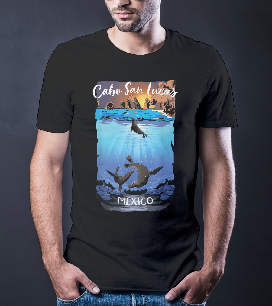 Cabo San Lucas Mexico Seals Ocean Rocks T-Shirt