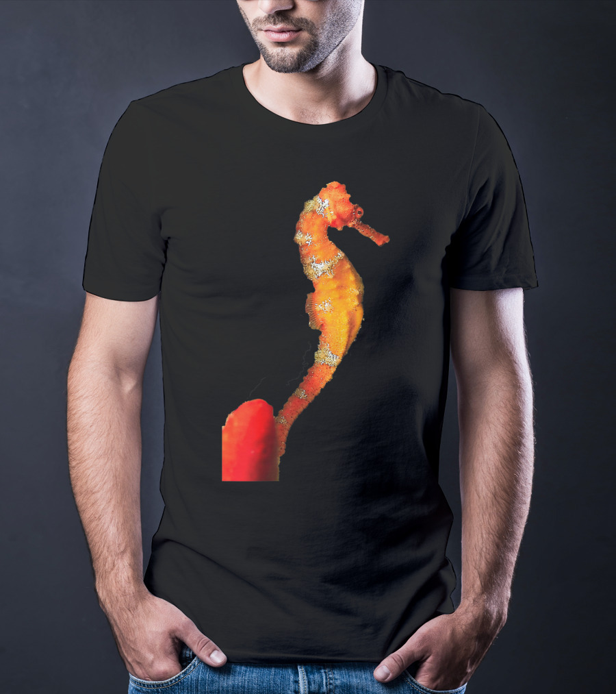 Beautiful Orange And Yellow Swimming Seahorse Figure T-Shirt