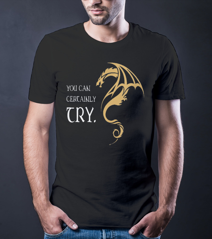 You Can Certainly Try Dragon Fire Dungeons Fantasy T-Shirt