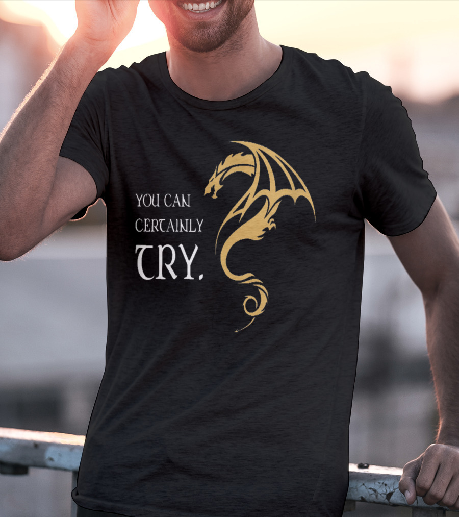 You Can Certainly Try Dragon Fire Dungeons Fantasy T-Shirt
