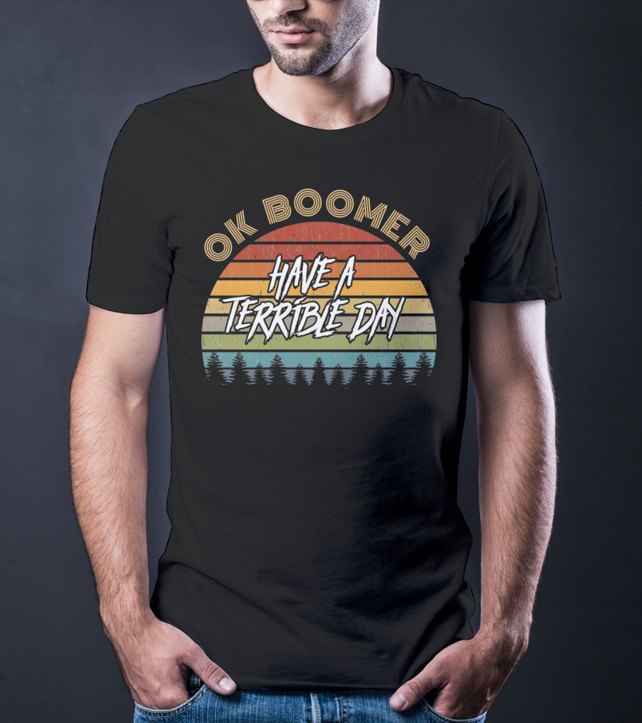 Retro Vintage Sunset Ok Boomer Have A Terrible Day T-Shirt
