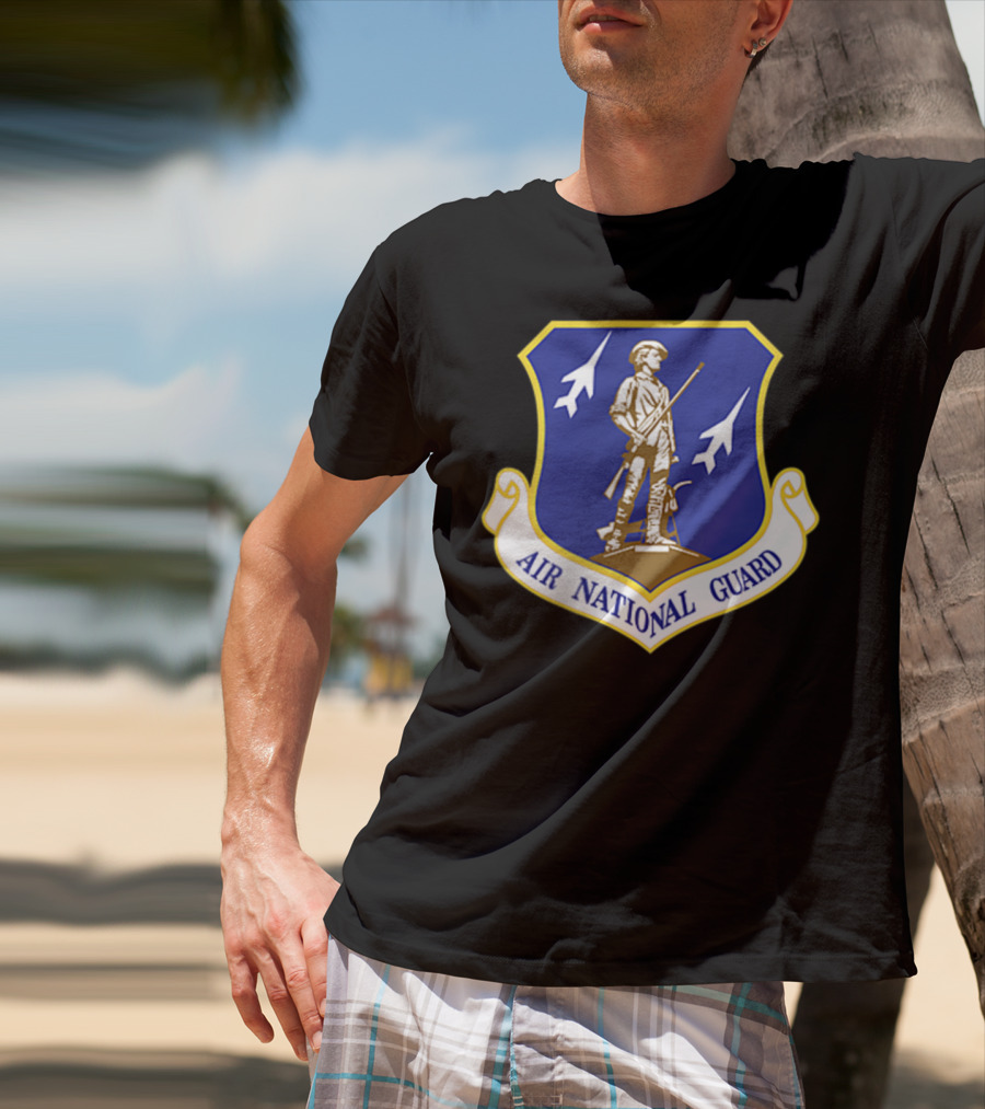 Air National Guard Military Veteran Morale PT Stat Shield Logo With Soldier And Jets T-Shirt