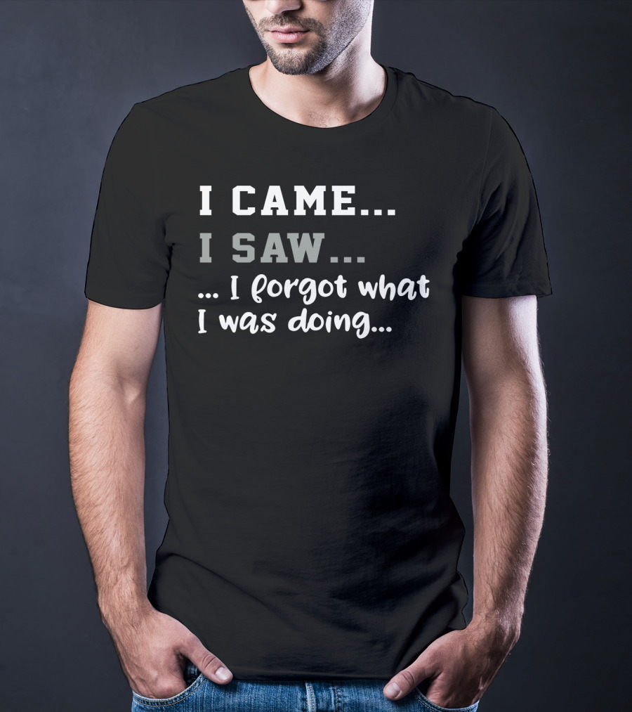 I Came I Saw I Forgot What I Was Doing T-Shirt