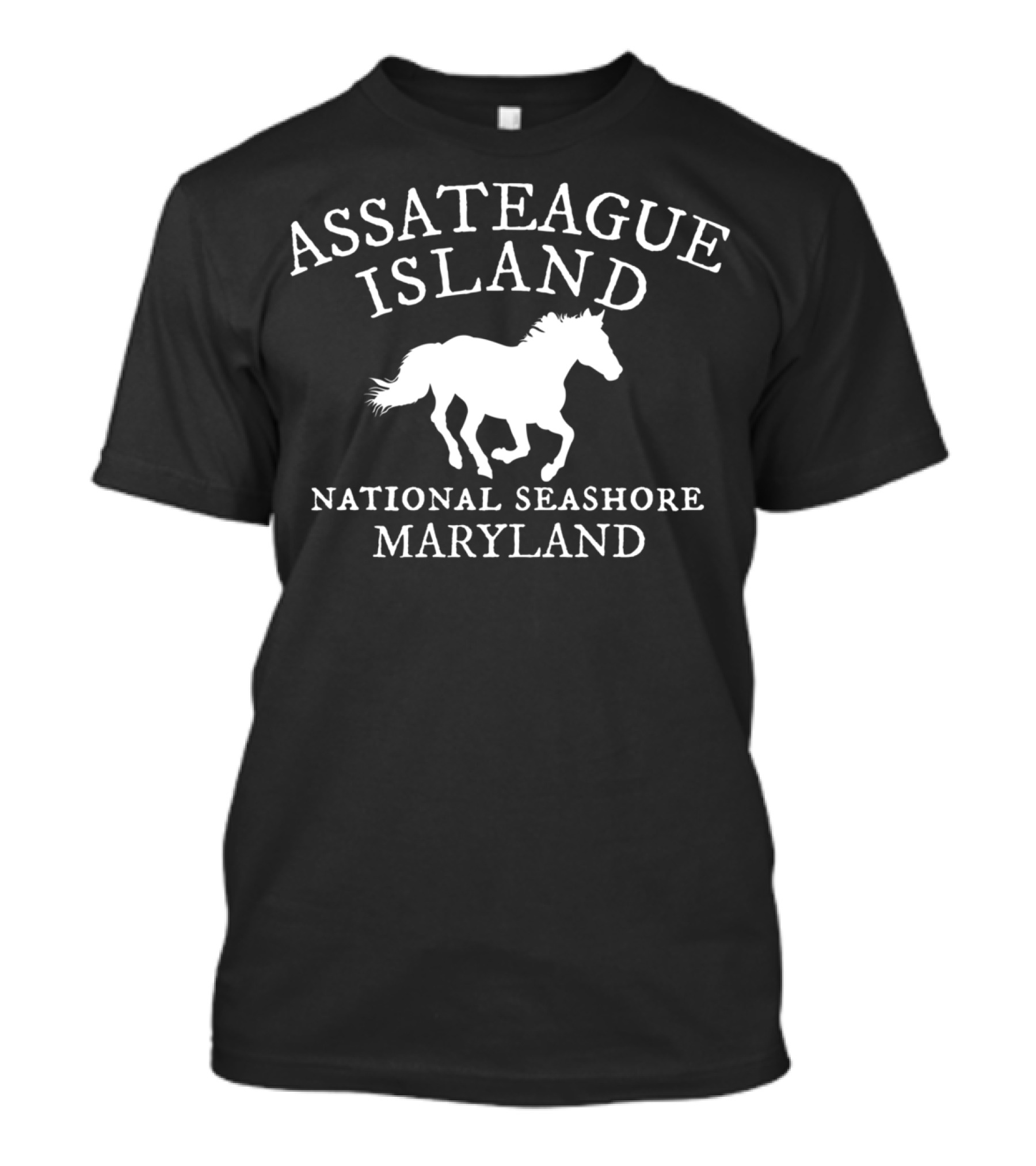 Assateague Island National Seashore Maryland Horse T-Shirt