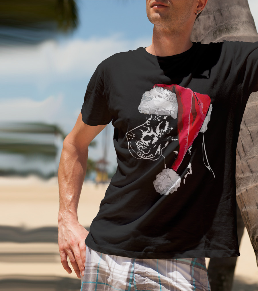 Great Dane Santa Hat Christmas Dog Humor T-Shirt