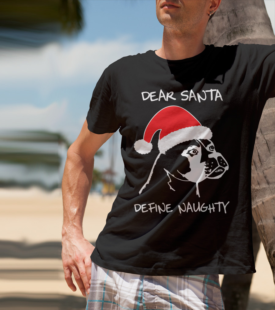Dear Santa Define Naughty Boxer Funny Ugly Xmas Dog Lovers T-Shirt