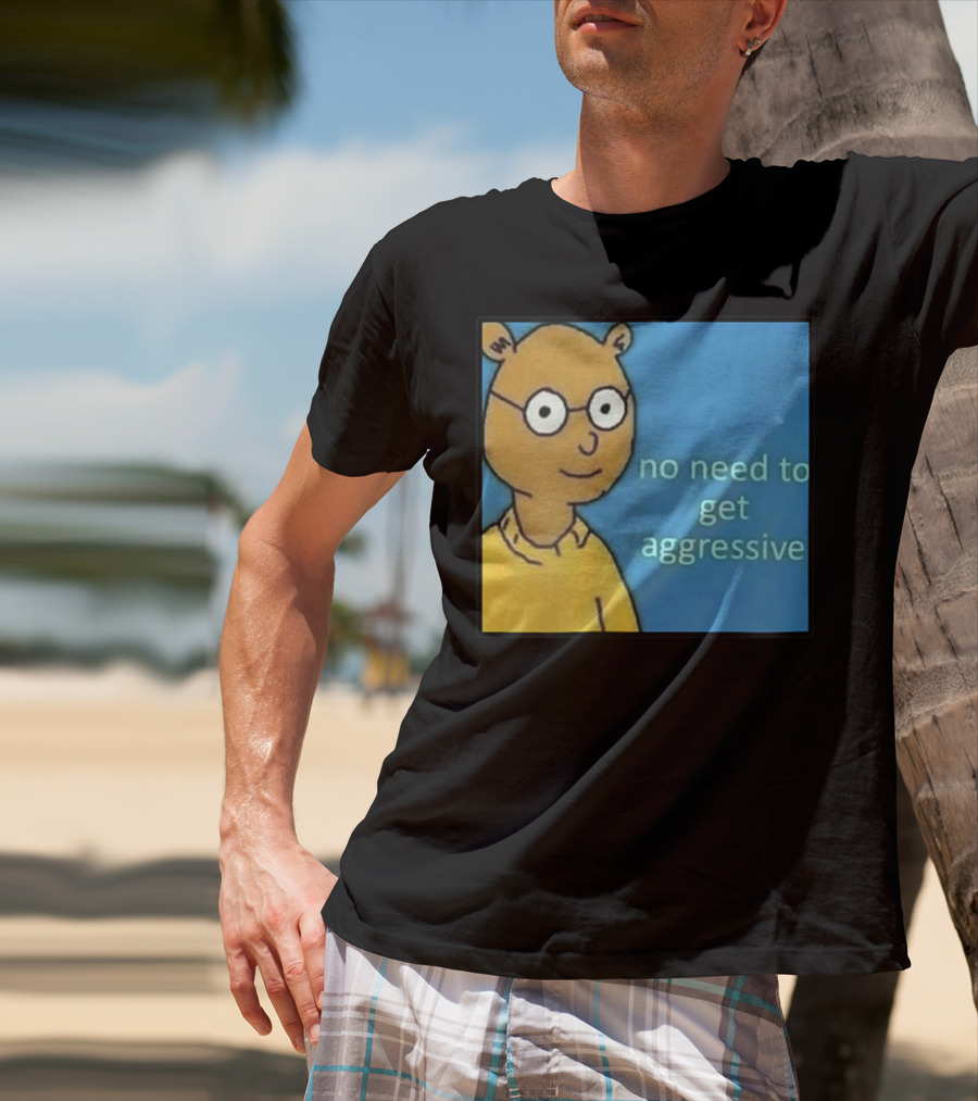 No Need To Get Aggressive Meme Bear Funny Aesthetic T-Shirt