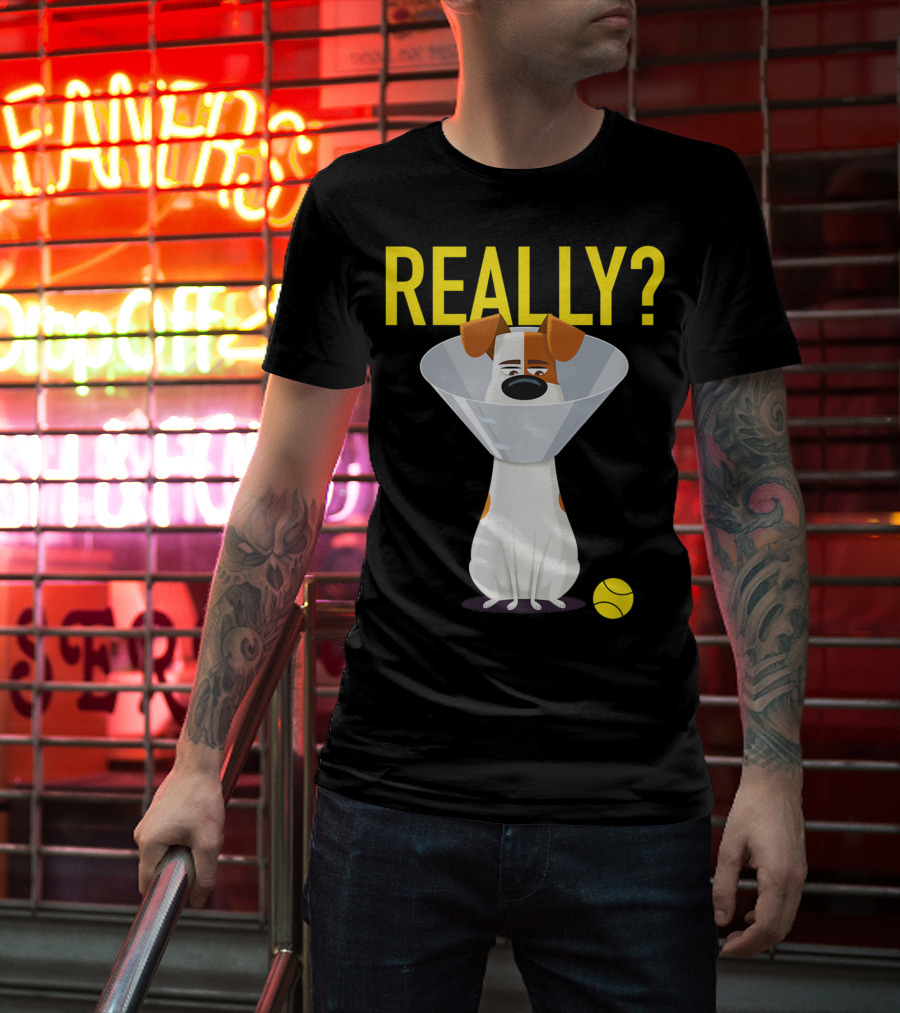 The Secret Life Of Pets 2 Max Really? Ball Cone Collar T-Shirt