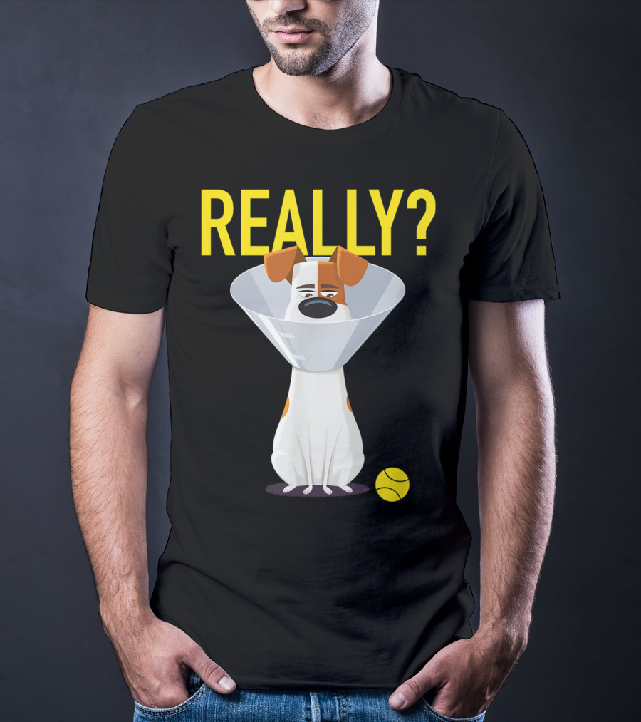 The Secret Life Of Pets 2 Max Really? Ball Cone Collar T-Shirt