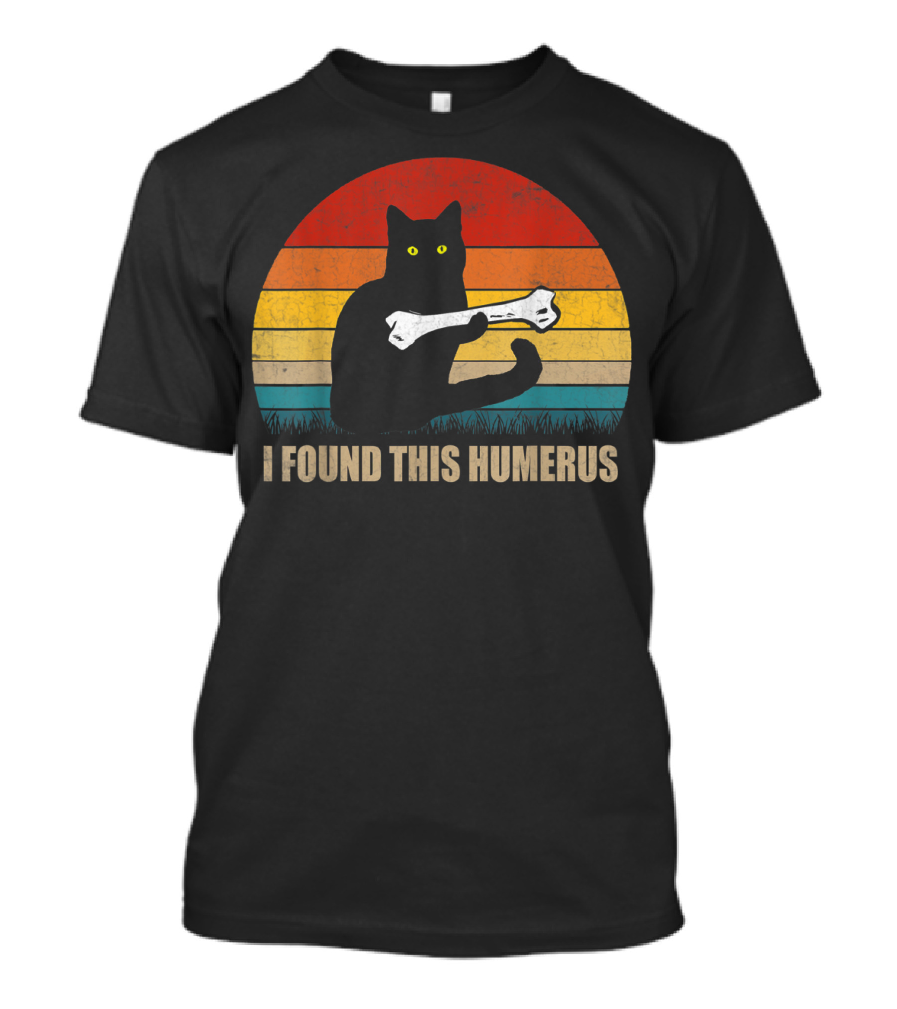 Vintage I Found This Humerus Cat Lover Retro Sunset T-Shirt