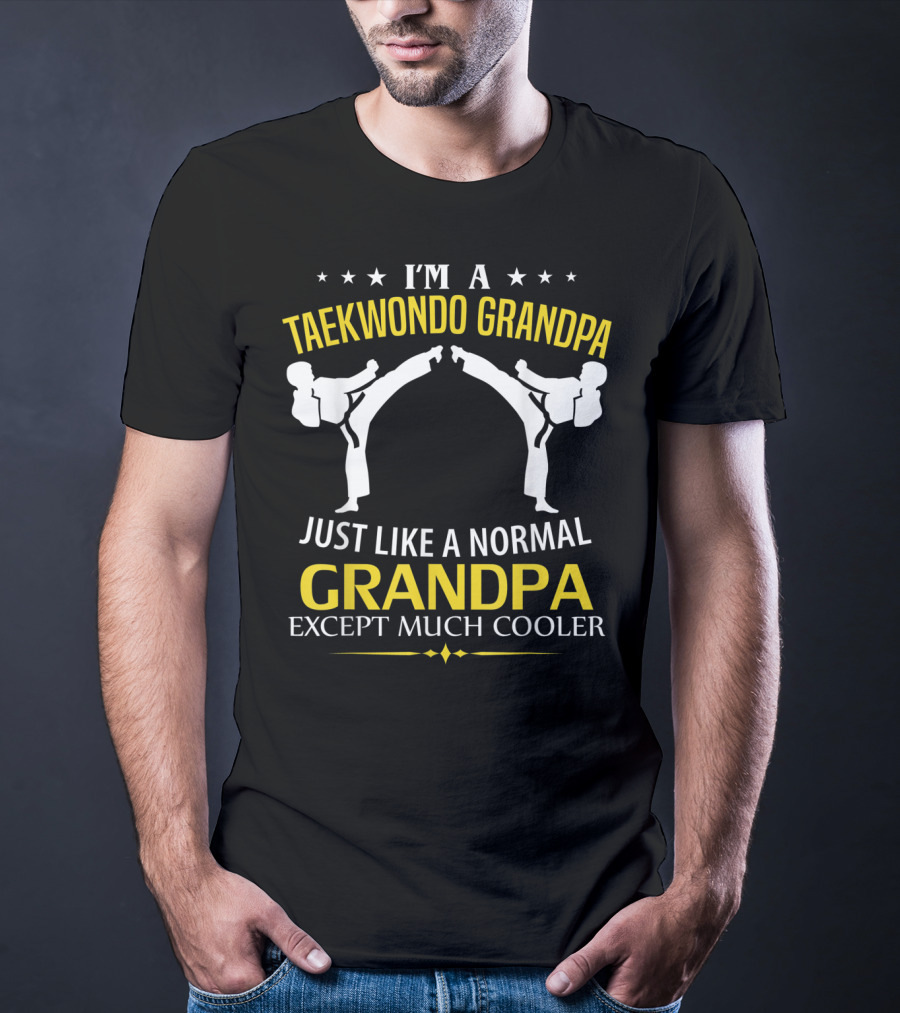 I'm A Taekwondo Grandpa Just Like A Normal Grandpa Except Much Cooler T-Shirt