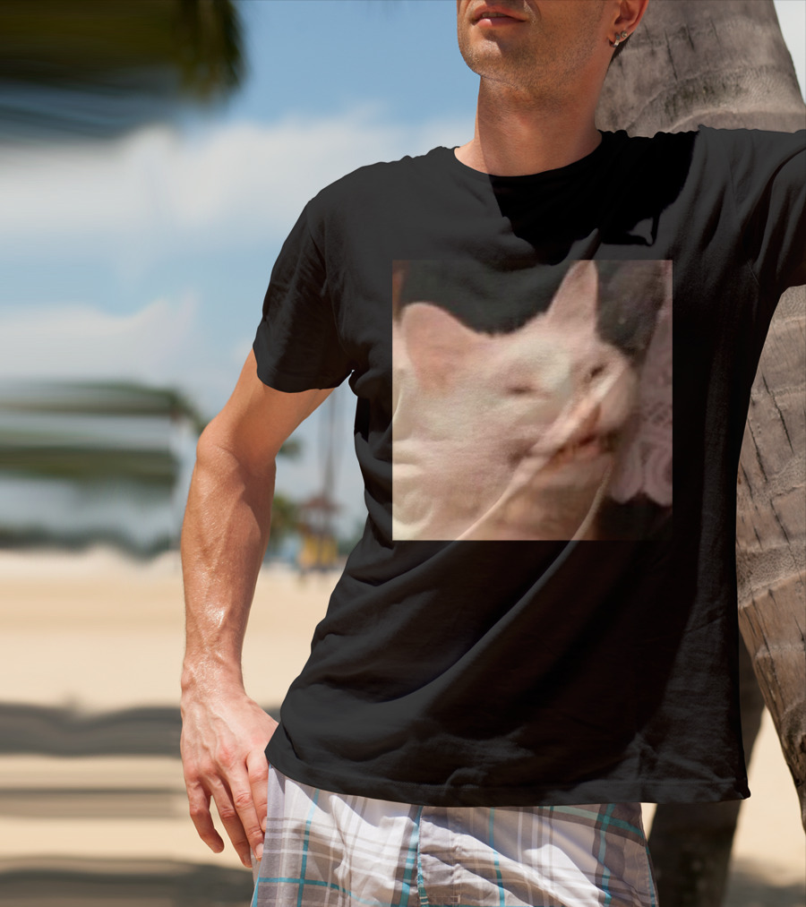 Confused Laughing Cat Meme Expression T-Shirt
