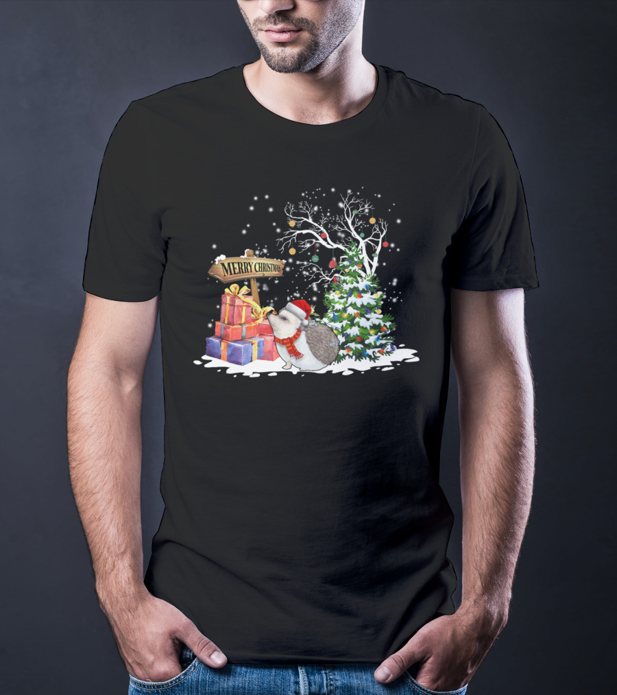 Merry Christmas Funny Hedgehog Santa Christmas Hedgehog Lover T-Shirt